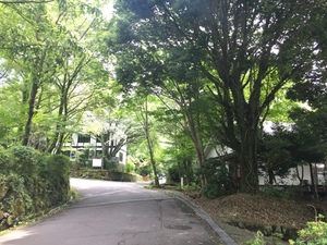 由布院の別荘地