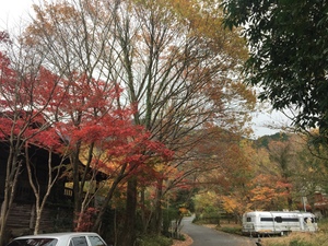 湯布院の別荘