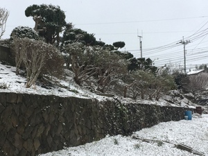 雪景色の九州