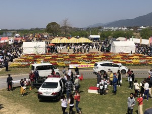 直方市のチューリップフェア