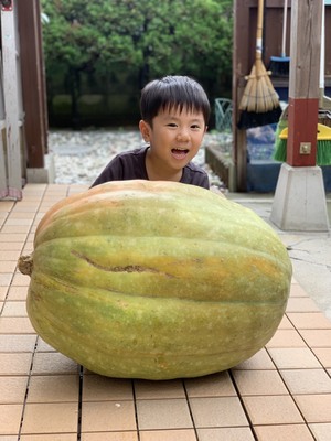 秋の収穫