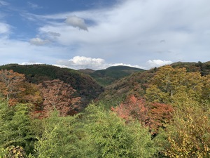 紅葉を求めて　大分県の九重へ