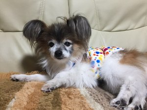 レンちゃん、ありがとう