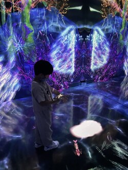 teamLabForest（チームラボフォレスト）に行って来ました